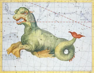 Sternbild des Wals, aus 